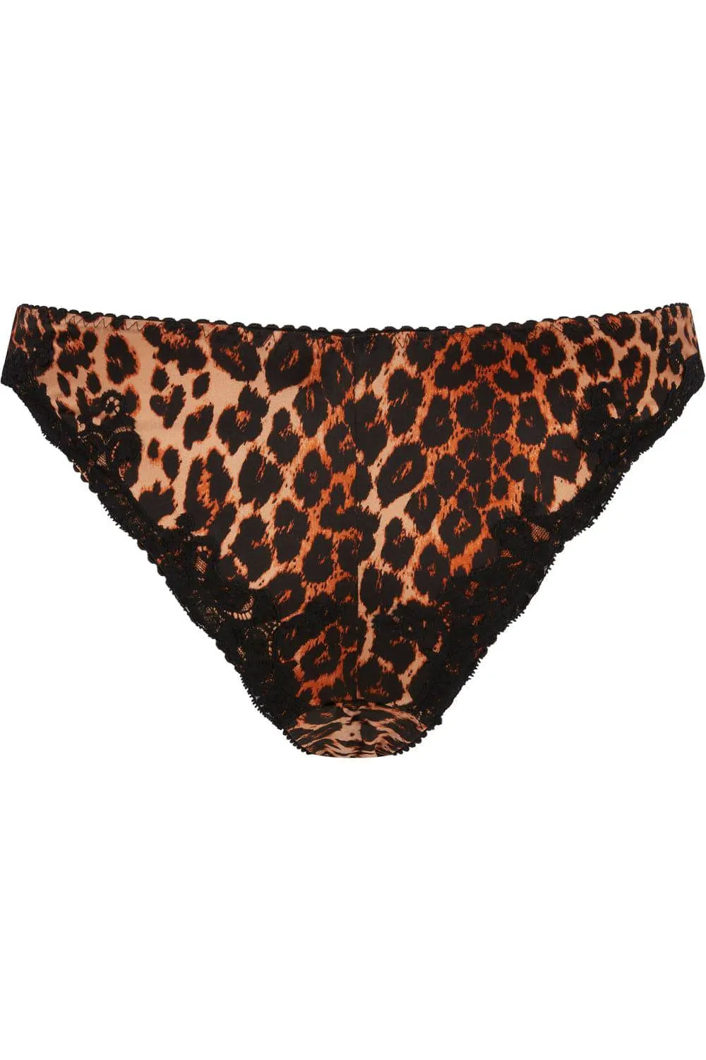 Molly Brief