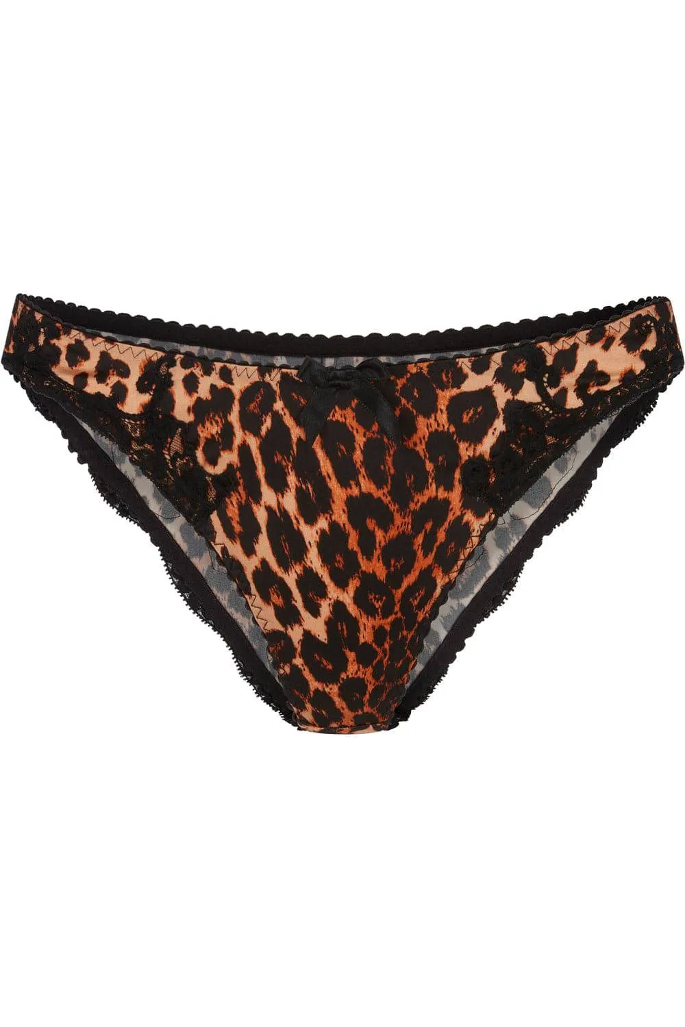 Molly Brief